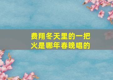 费翔冬天里的一把火是哪年春晚唱的