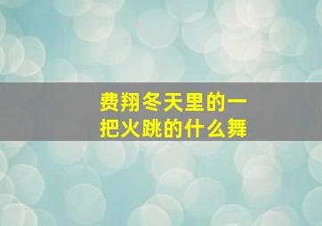 费翔冬天里的一把火跳的什么舞