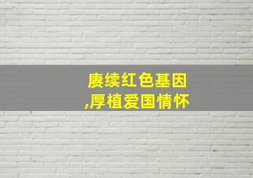 赓续红色基因,厚植爱国情怀