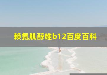 赖氨肌醇维b12百度百科