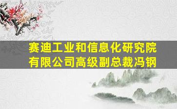 赛迪工业和信息化研究院有限公司高级副总裁冯钢