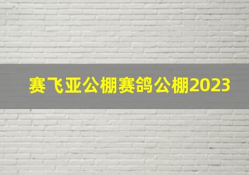 赛飞亚公棚赛鸽公棚2023