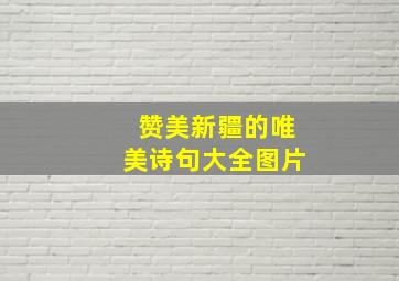 赞美新疆的唯美诗句大全图片