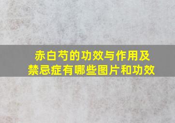 赤白芍的功效与作用及禁忌症有哪些图片和功效