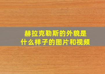 赫拉克勒斯的外貌是什么样子的图片和视频