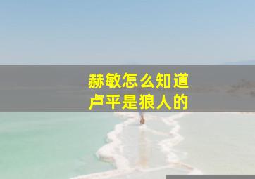 赫敏怎么知道卢平是狼人的