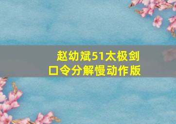 赵幼斌51太极剑口令分解慢动作版