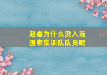 赵睿为什么没入选国家集训队队员呢