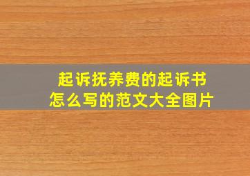 起诉抚养费的起诉书怎么写的范文大全图片