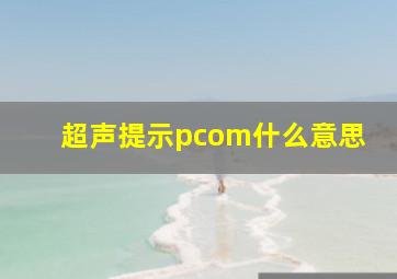 超声提示pcom什么意思