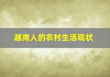 越南人的农村生活现状