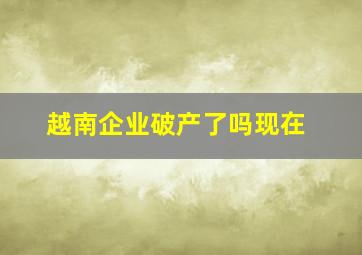 越南企业破产了吗现在