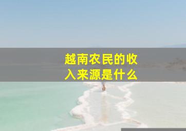 越南农民的收入来源是什么