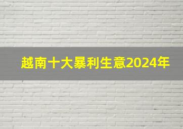 越南十大暴利生意2024年