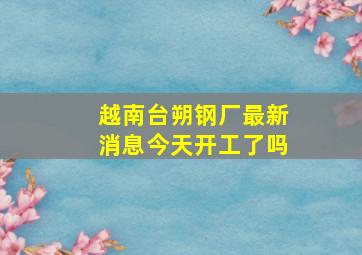 越南台朔钢厂最新消息今天开工了吗