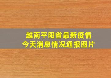 越南平阳省最新疫情今天消息情况通报图片