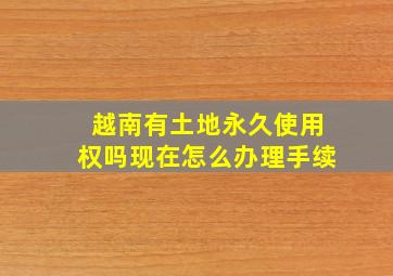 越南有土地永久使用权吗现在怎么办理手续