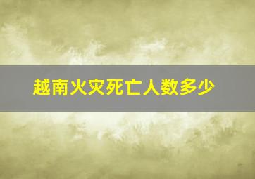 越南火灾死亡人数多少