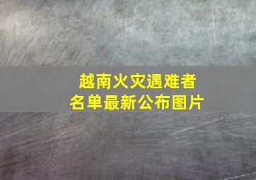 越南火灾遇难者名单最新公布图片