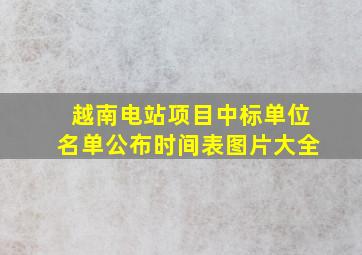 越南电站项目中标单位名单公布时间表图片大全