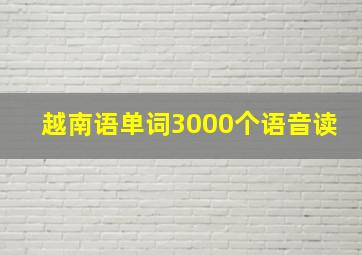 越南语单词3000个语音读