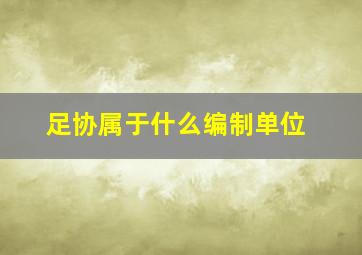 足协属于什么编制单位