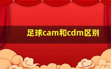 足球cam和cdm区别