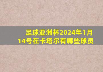 足球亚洲杯2024年1月14号在卡塔尔有哪些球员