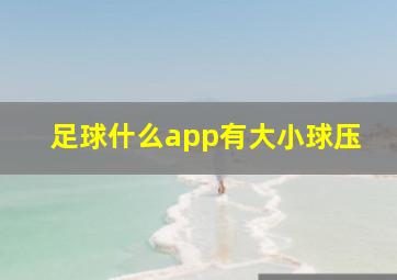 足球什么app有大小球压