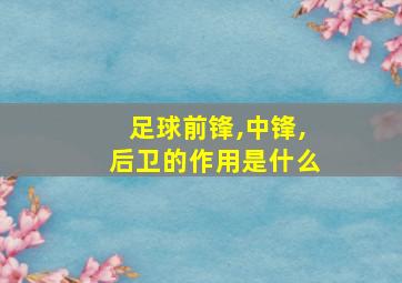 足球前锋,中锋,后卫的作用是什么