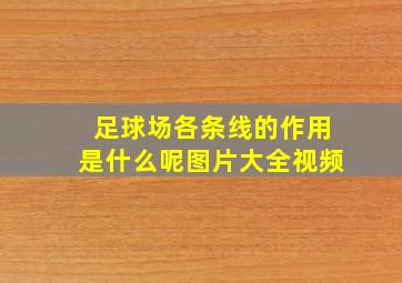 足球场各条线的作用是什么呢图片大全视频