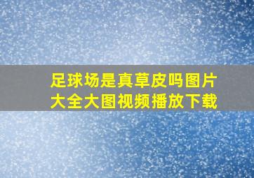 足球场是真草皮吗图片大全大图视频播放下载