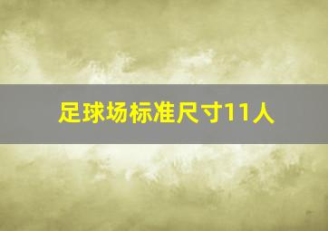 足球场标准尺寸11人