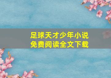 足球天才少年小说免费阅读全文下载