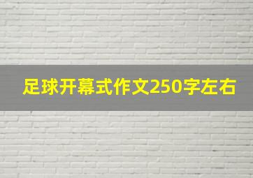 足球开幕式作文250字左右