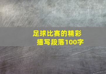 足球比赛的精彩描写段落100字