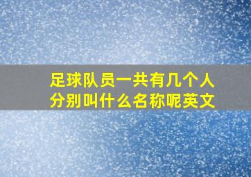 足球队员一共有几个人分别叫什么名称呢英文