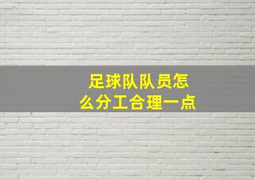 足球队队员怎么分工合理一点