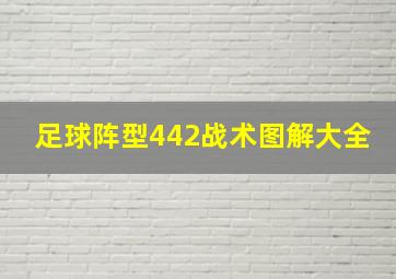 足球阵型442战术图解大全