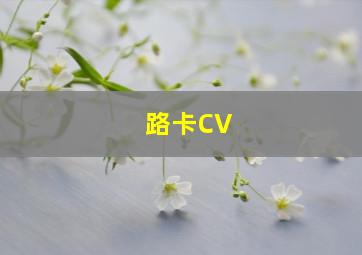 路卡CV