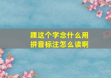 踝这个字念什么用拼音标注怎么读啊