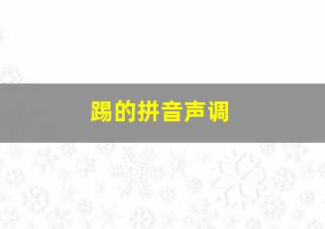 踢的拼音声调