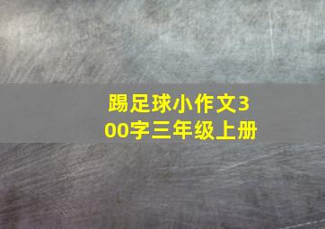 踢足球小作文300字三年级上册