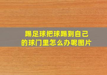 踢足球把球踢到自己的球门里怎么办呢图片