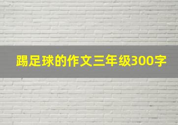 踢足球的作文三年级300字