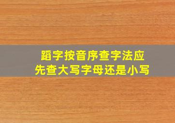 蹈字按音序查字法应先查大写字母还是小写