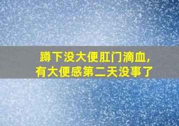 蹲下没大便肛门滴血,有大便感第二天没事了