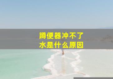 蹲便器冲不了水是什么原因