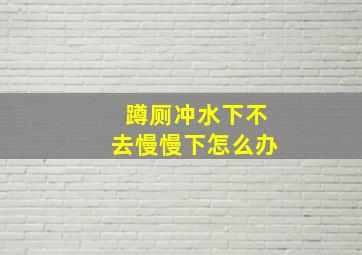 蹲厕冲水下不去慢慢下怎么办