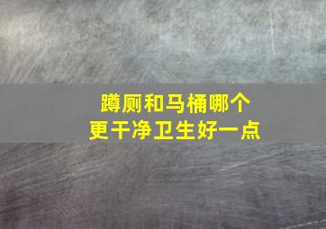 蹲厕和马桶哪个更干净卫生好一点